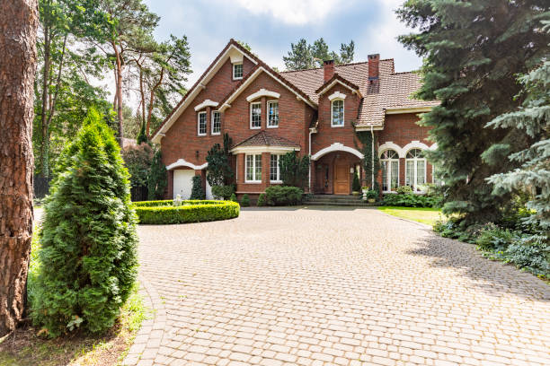 Best Professional Driveway Pavers  in Rolla, ND