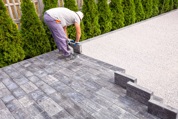 Best Driveway Pavers Near Me  in Rolla, ND